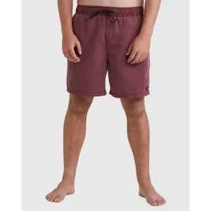 All Day Overdye Layback Boardshort - Brick