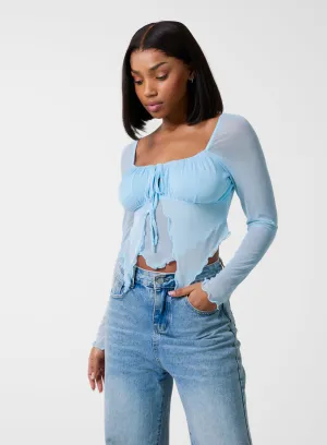 Long Sleeve Mesh Butterfly Top