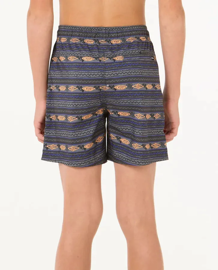 Raw Energy Stripe Volley Boardshorts - Boys (8-16 years)
